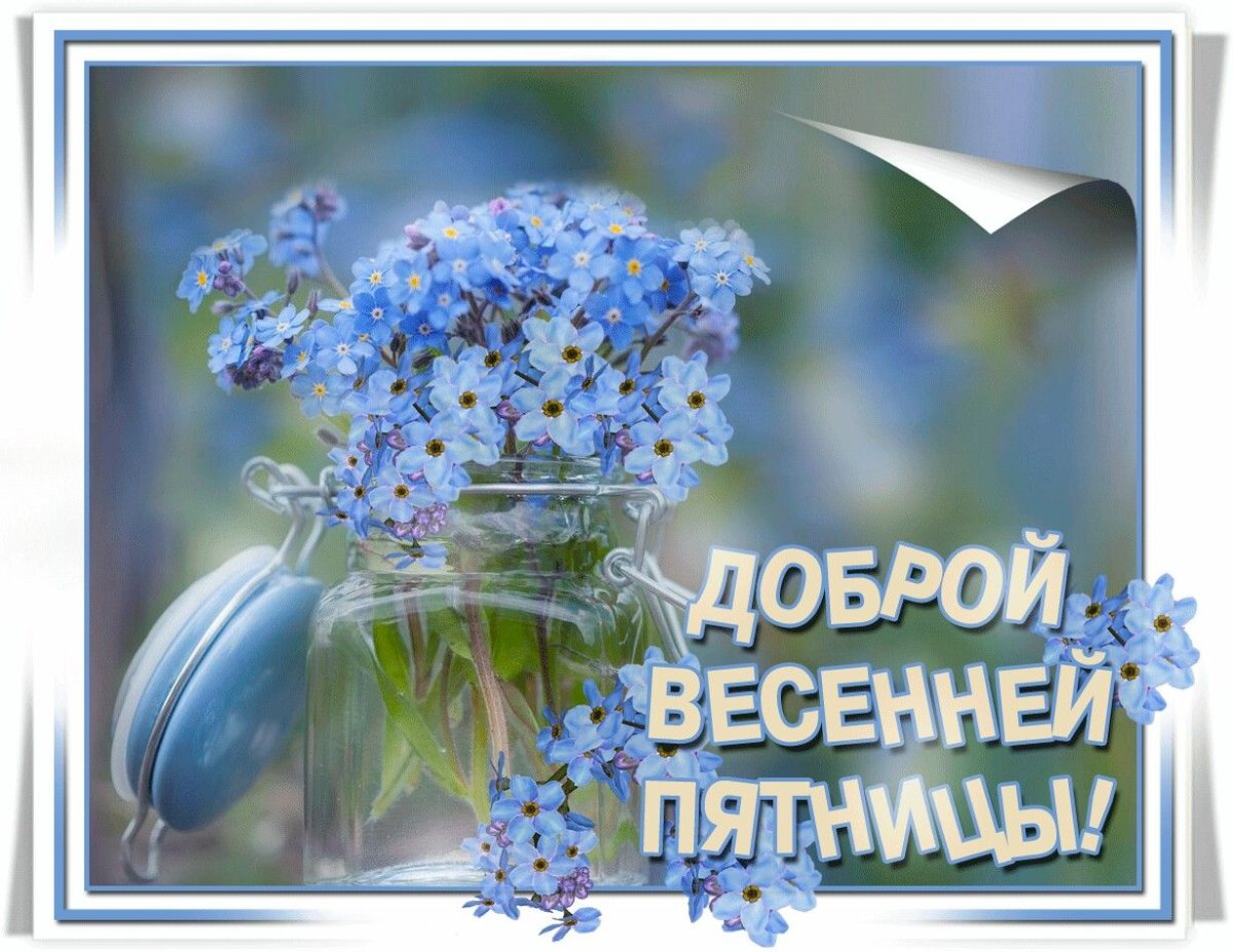 Сиреневые тюльпаны в корзине