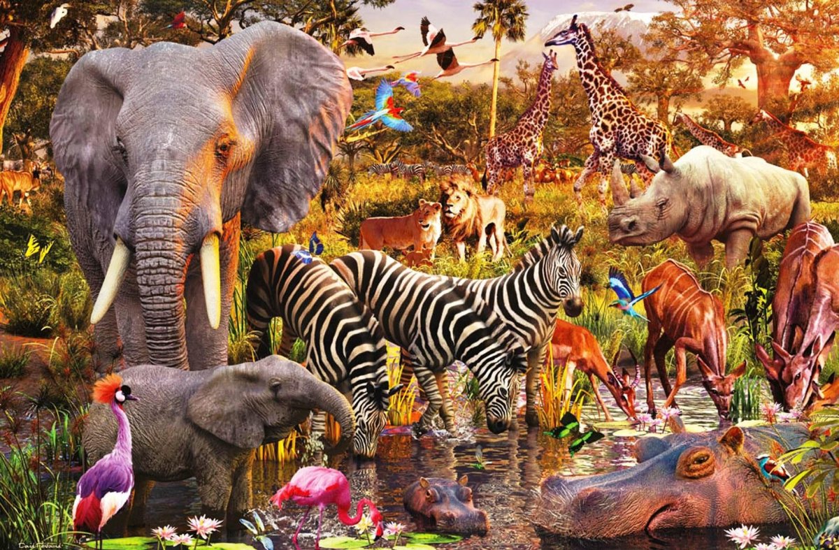 Разные виды животных