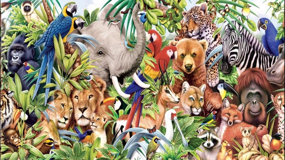 Животные на английском языке 2 класс с переводом