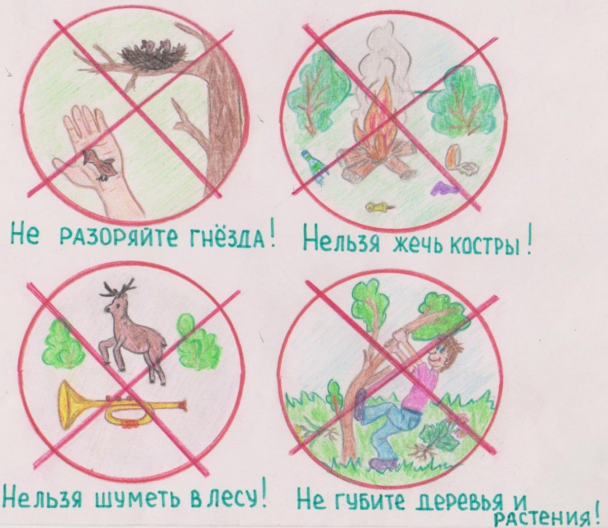 Вырубка лесов запрещена знак