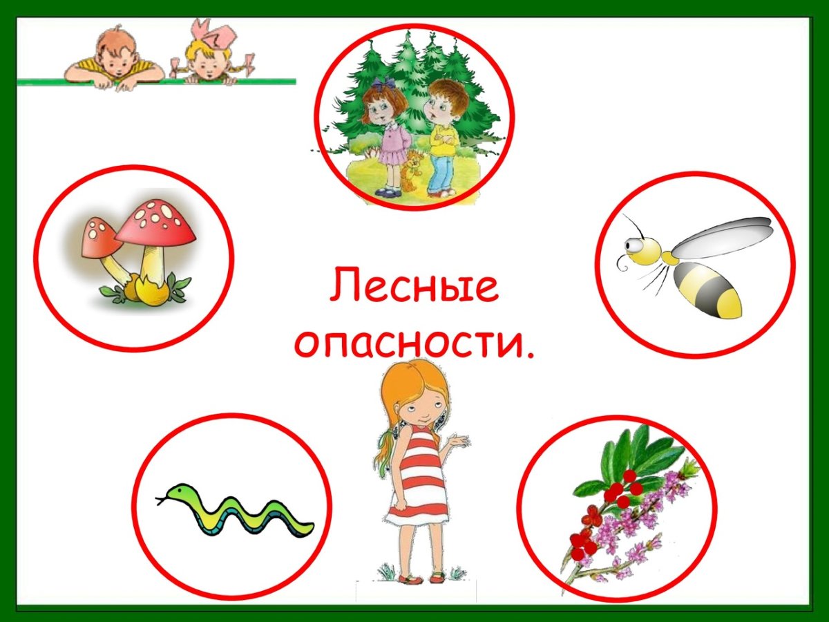 Знаки защиты природы