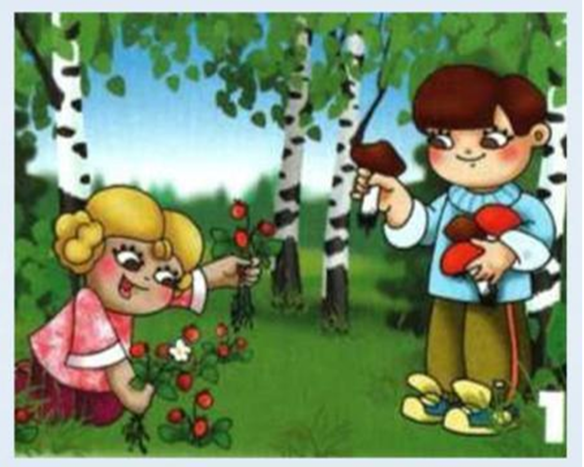 Правила поведения на природе