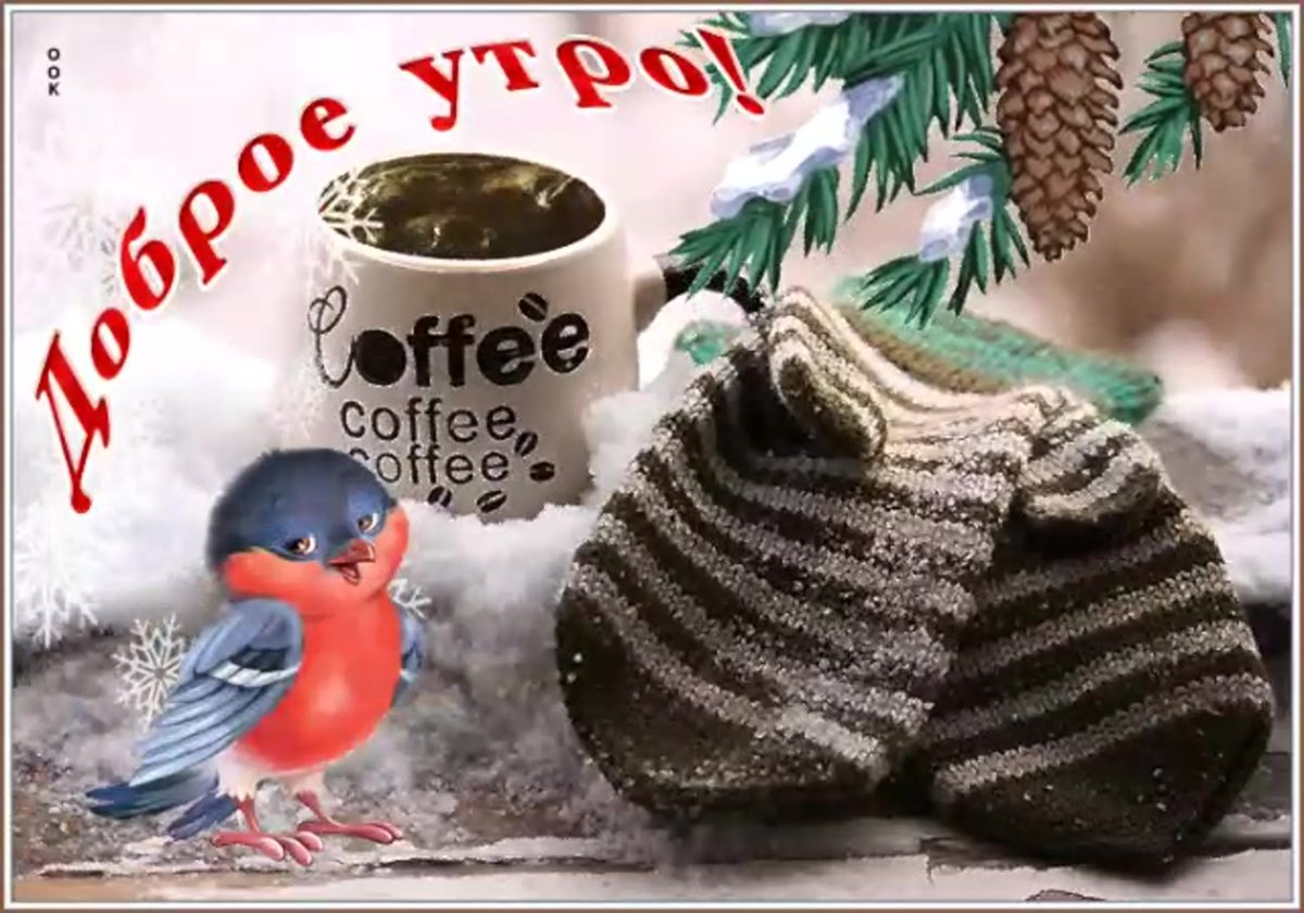 Доброе Холодное утро