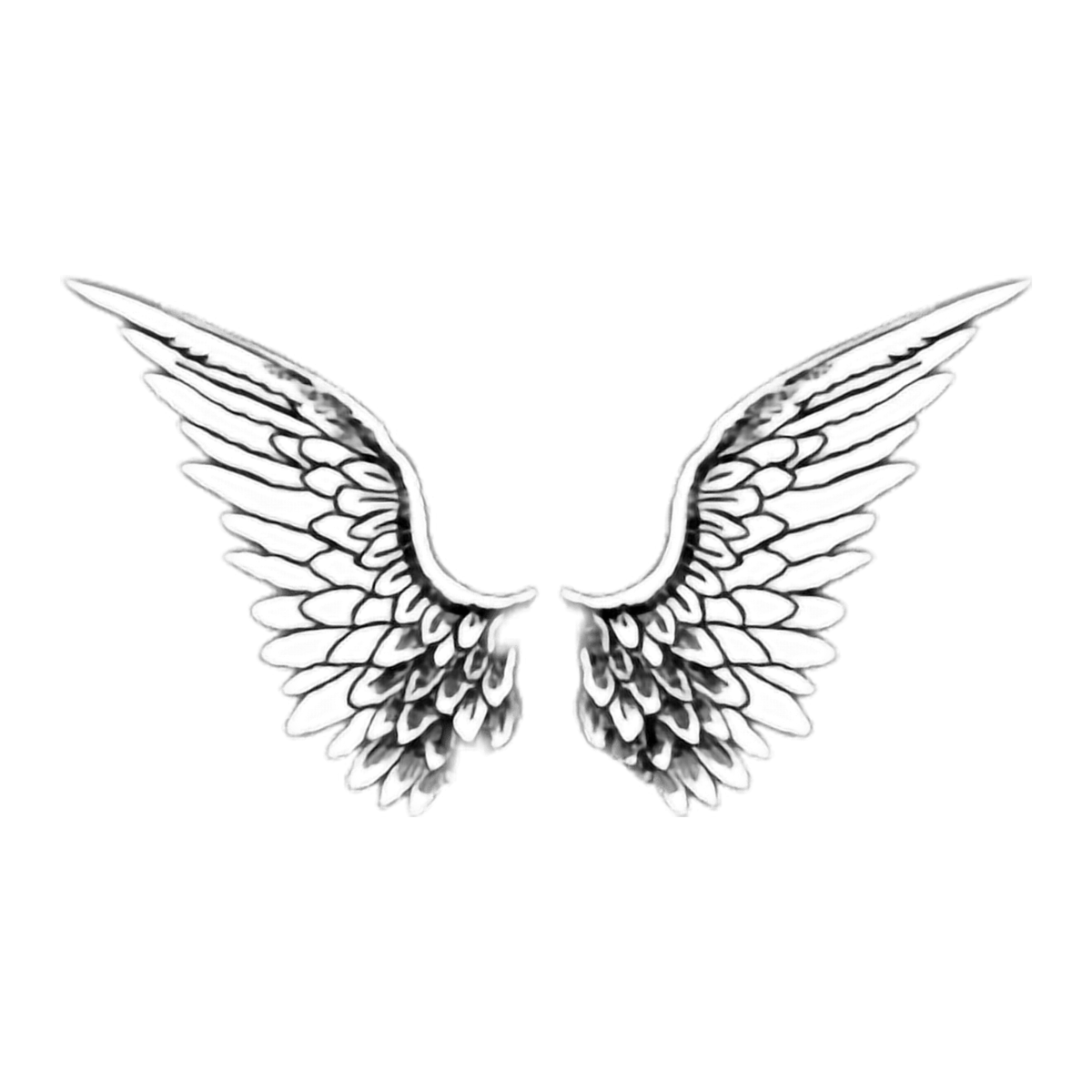 Тату Крылья на белом фоне