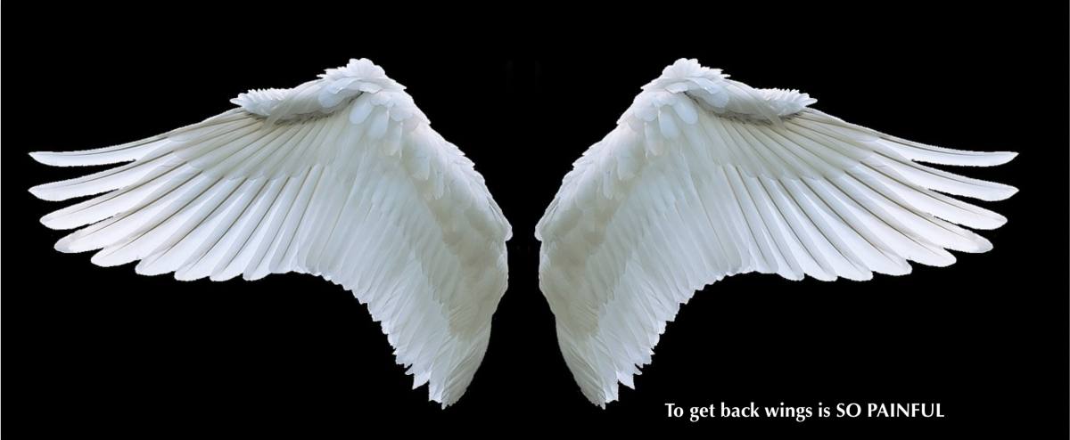 Фиолетовые Крылья