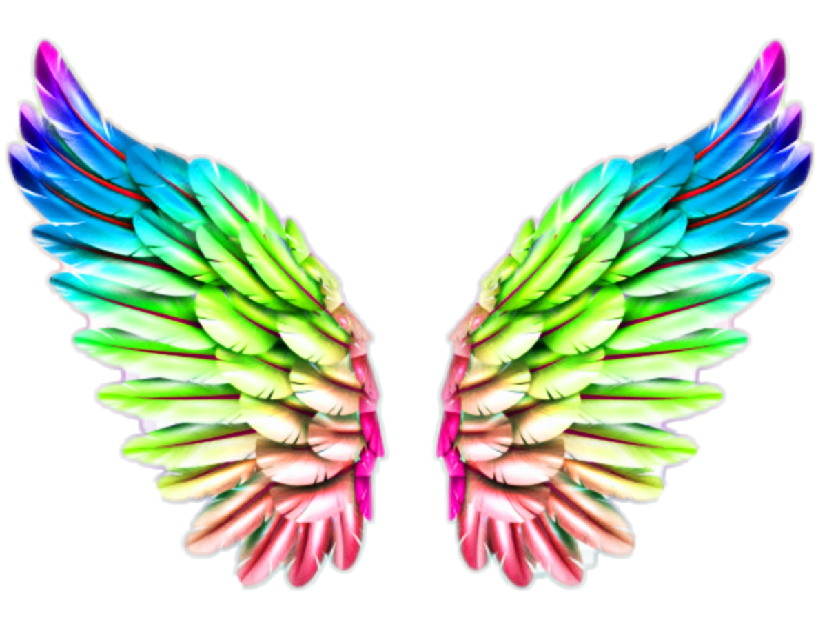 Крылья тату эскиз