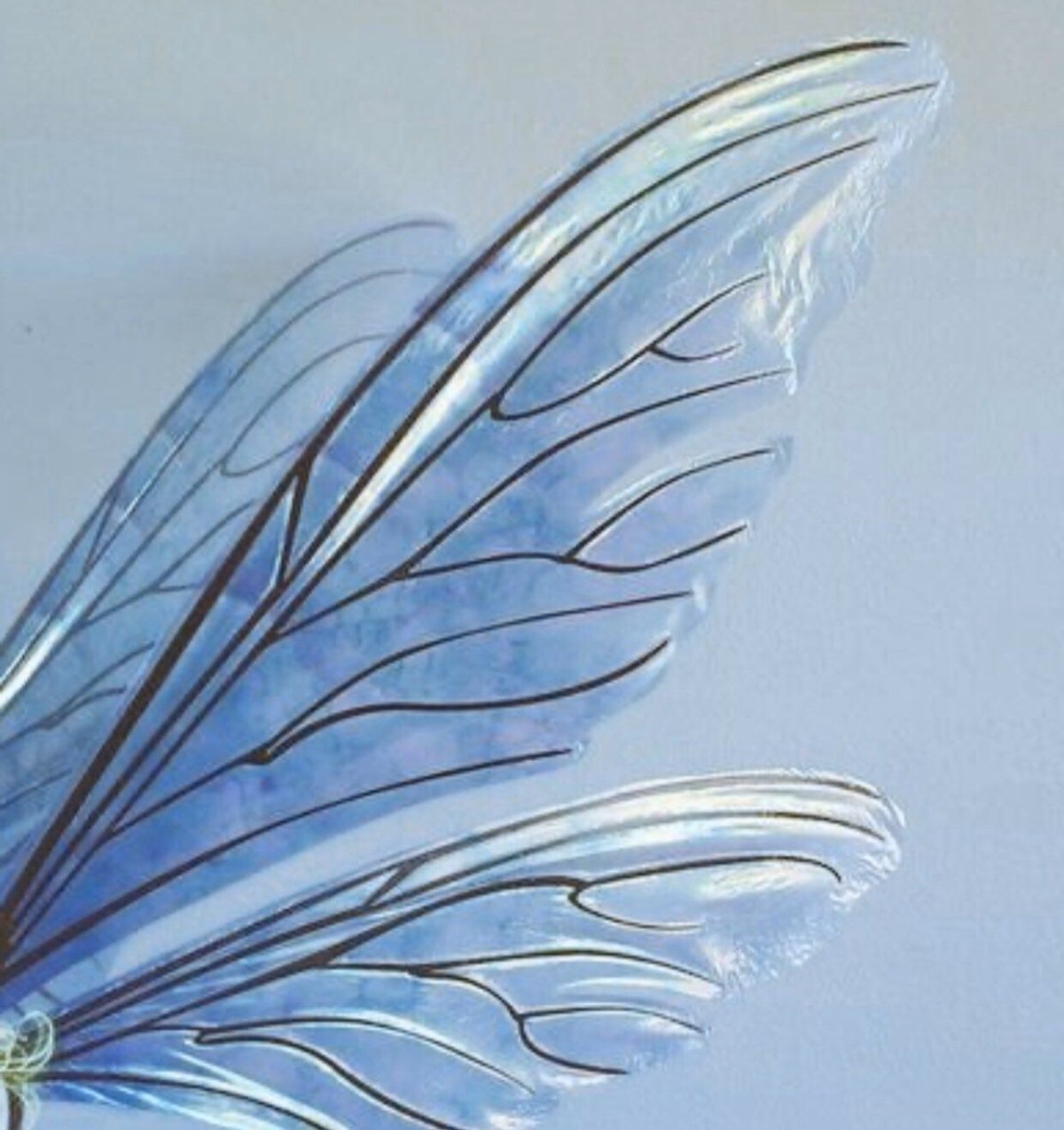 Разноцветные Крылья ангела