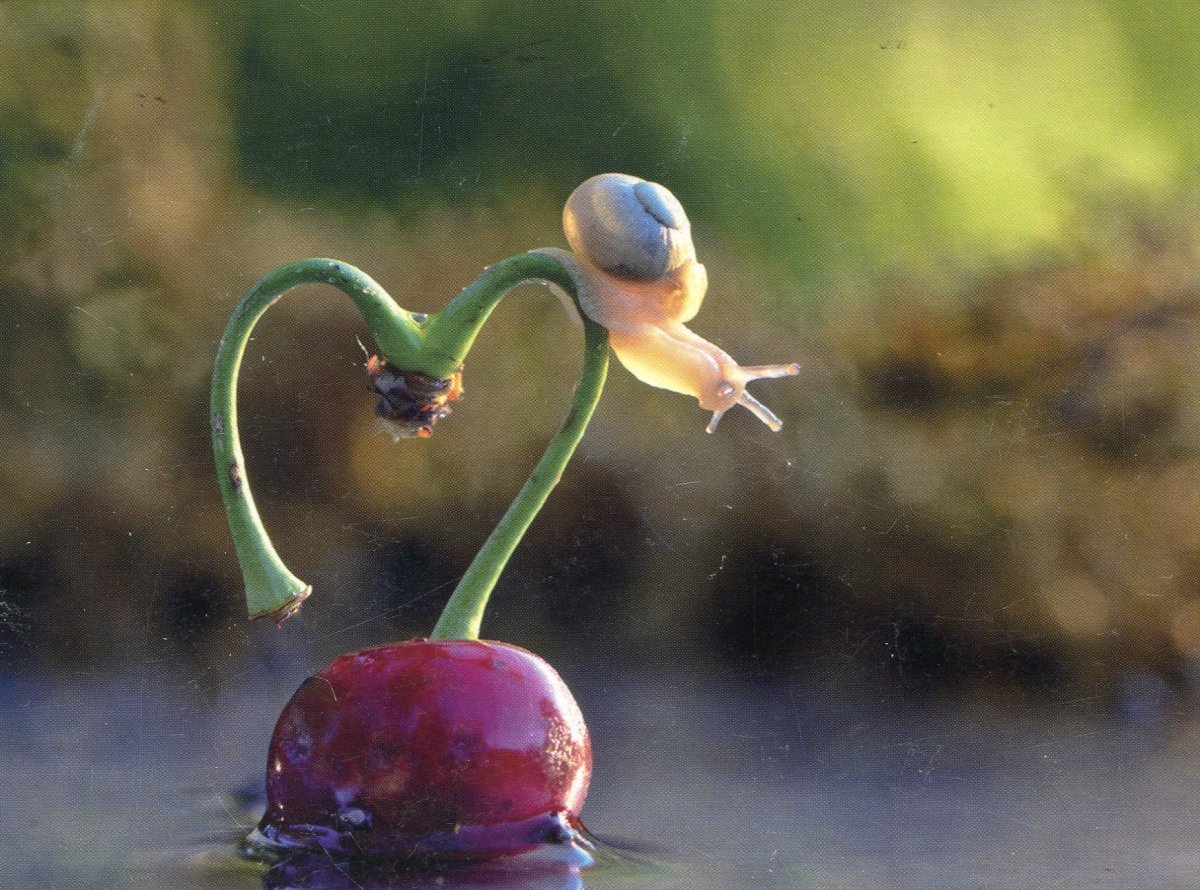 Этот удивительный мир природы