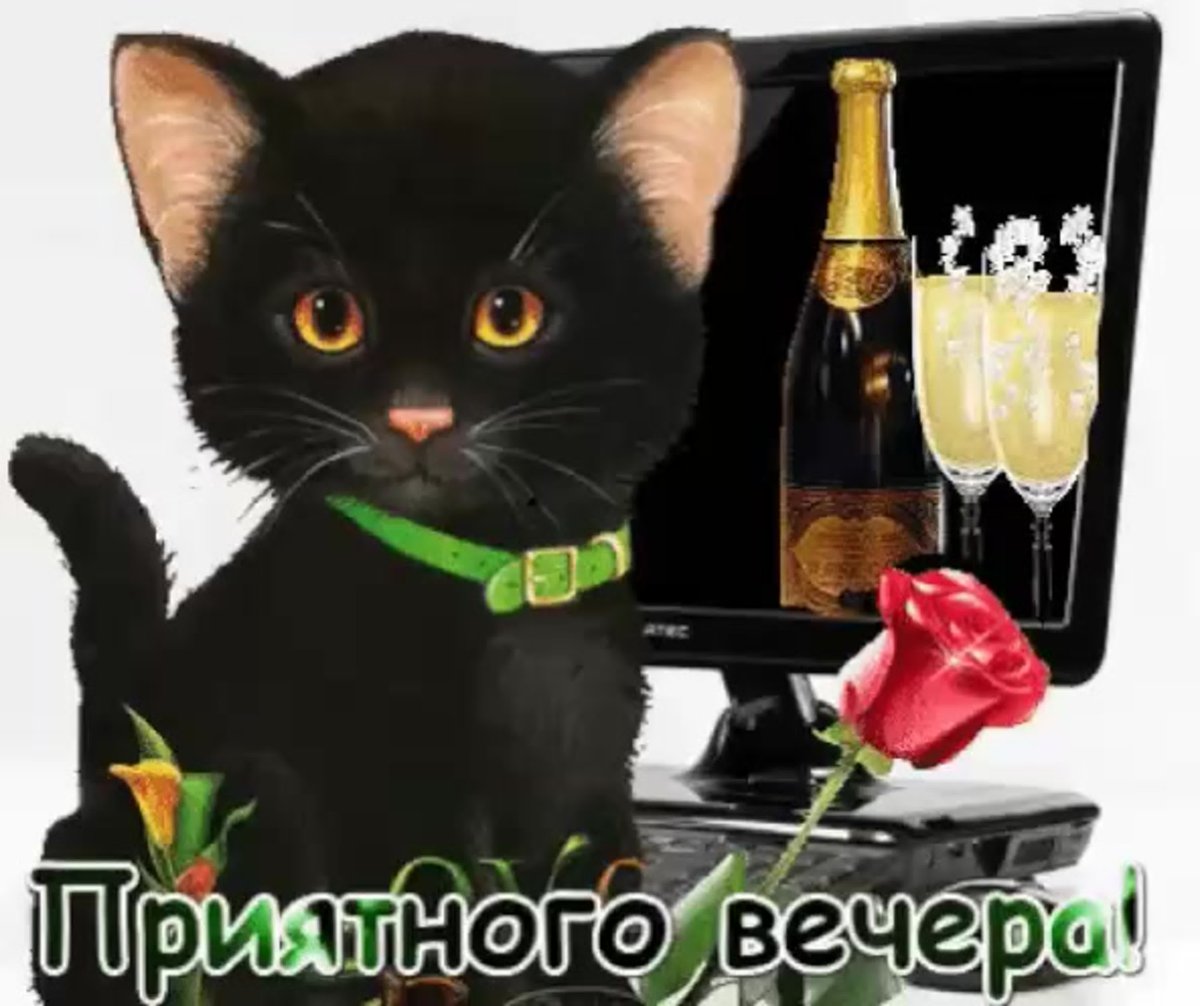 Сижу вот чаек с вареньем попиваю