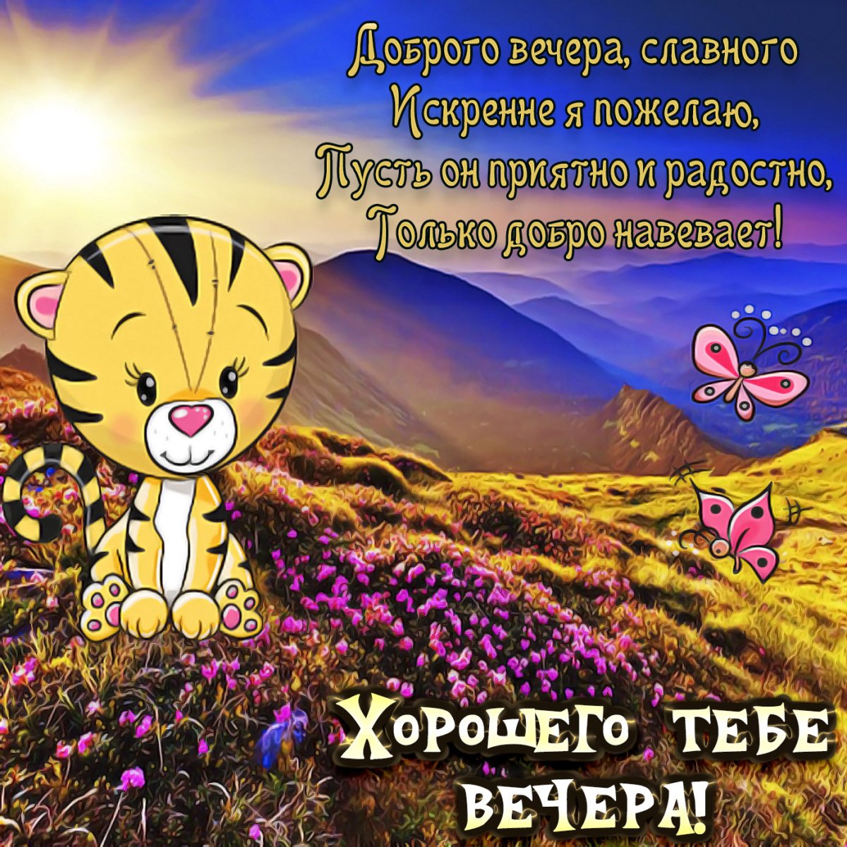 Спокойной ночи