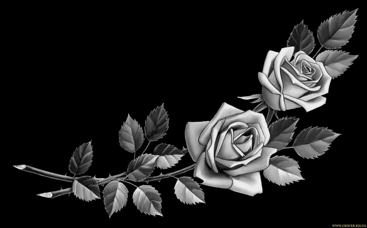 Розы на памятник