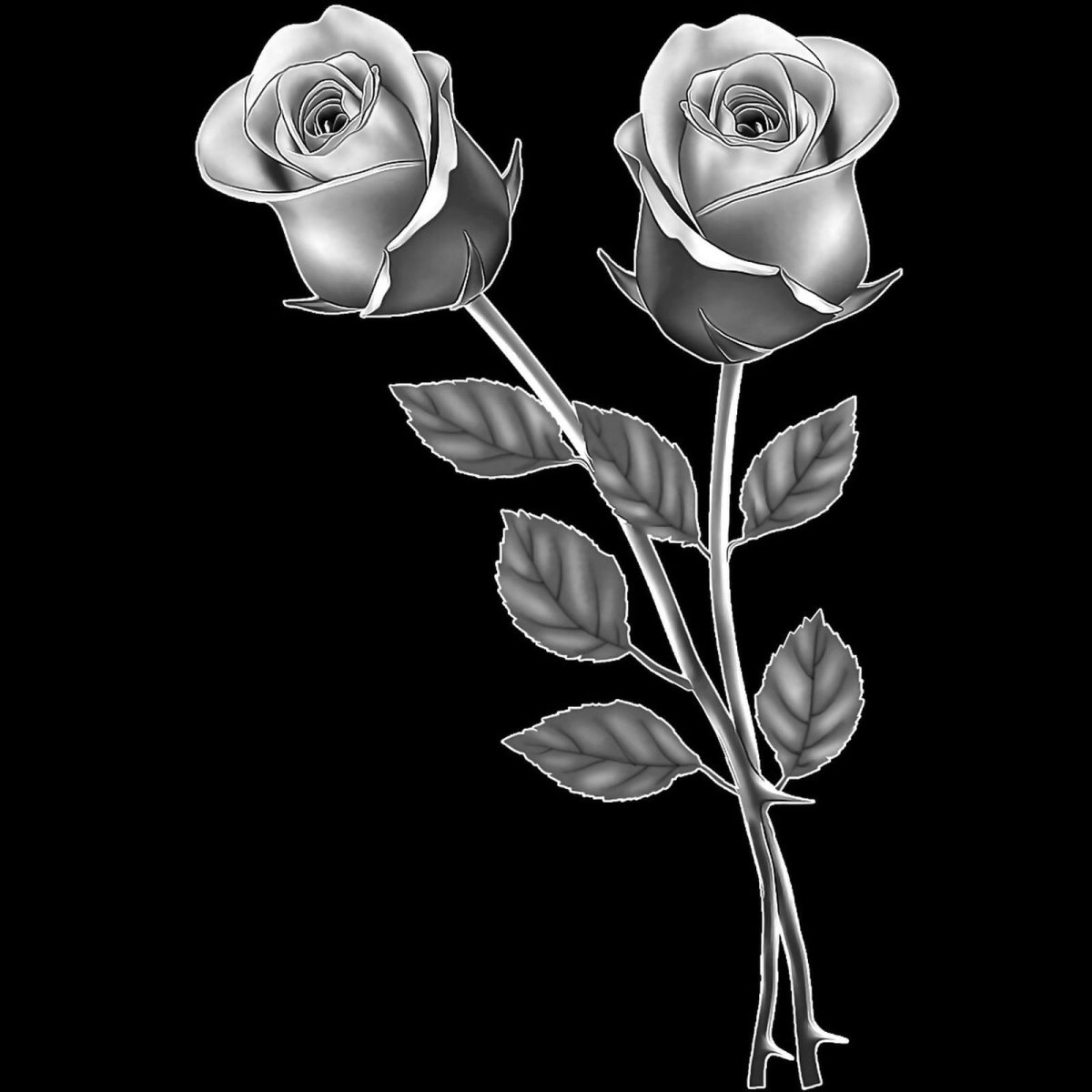 Розы для гравировки на памятниках