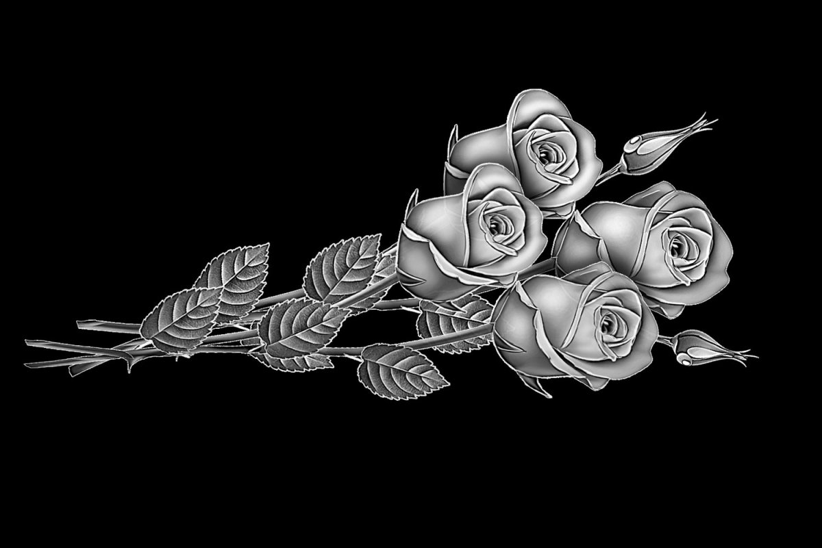 Розы для гравировки