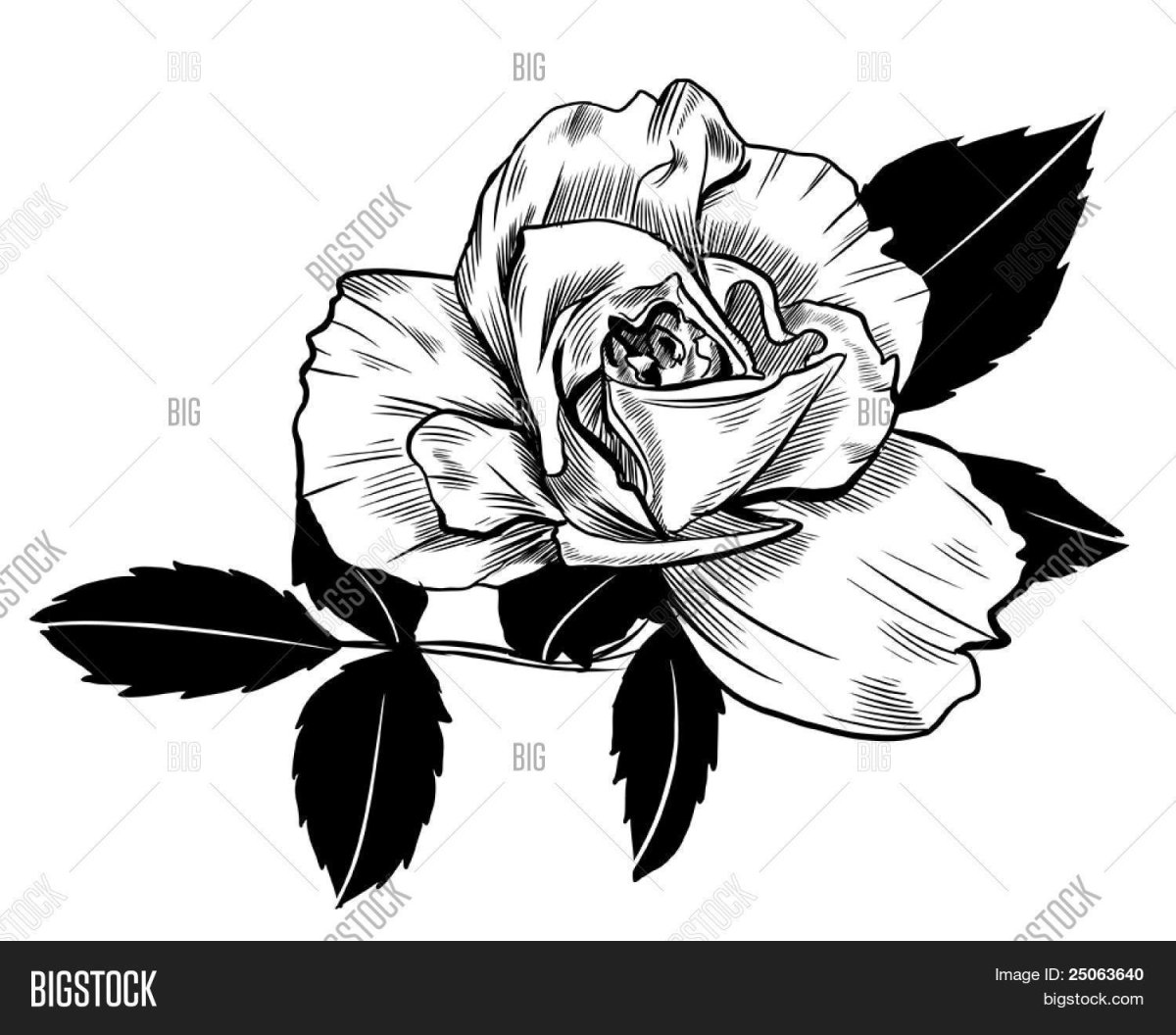 Цветы на памятник