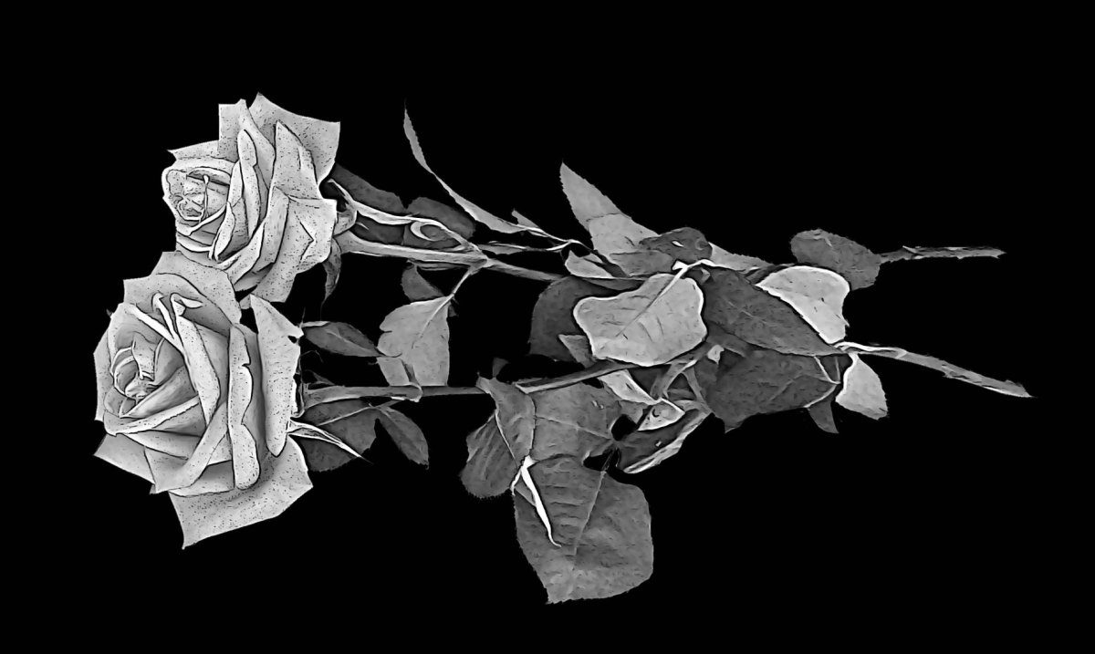 Три розы гравировка