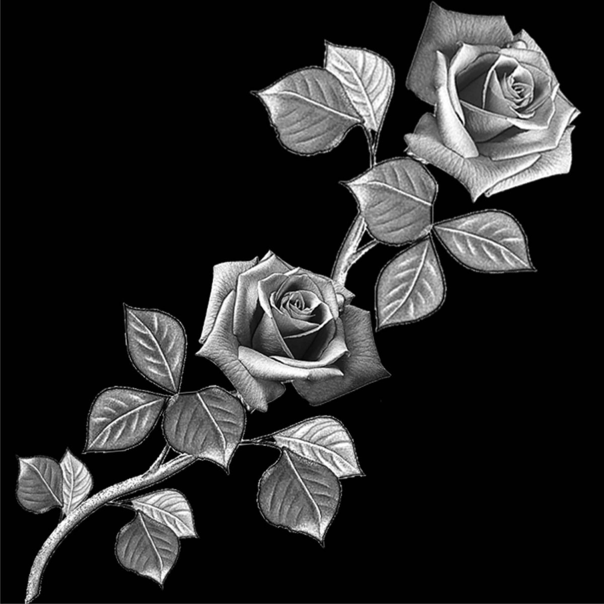 Розы для гравировки на пам