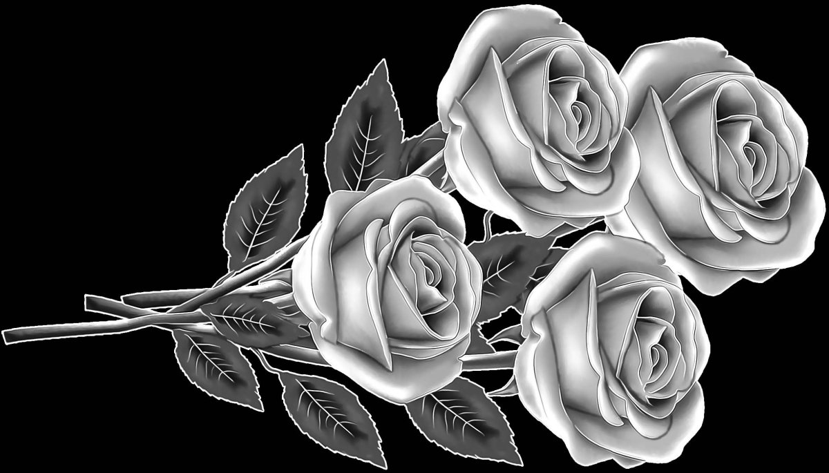 Розы для гравировки