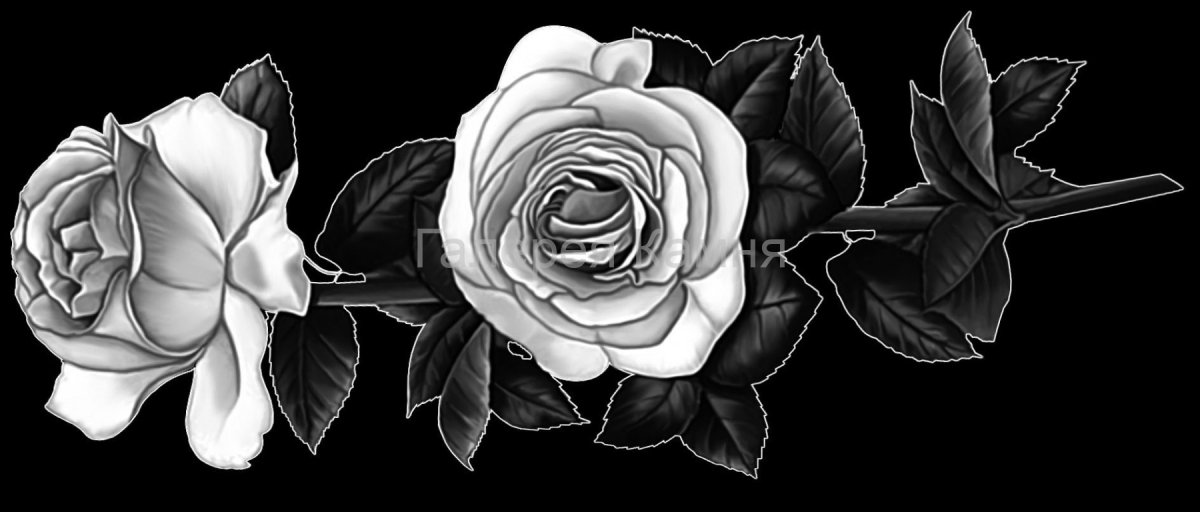 Розы на памятник