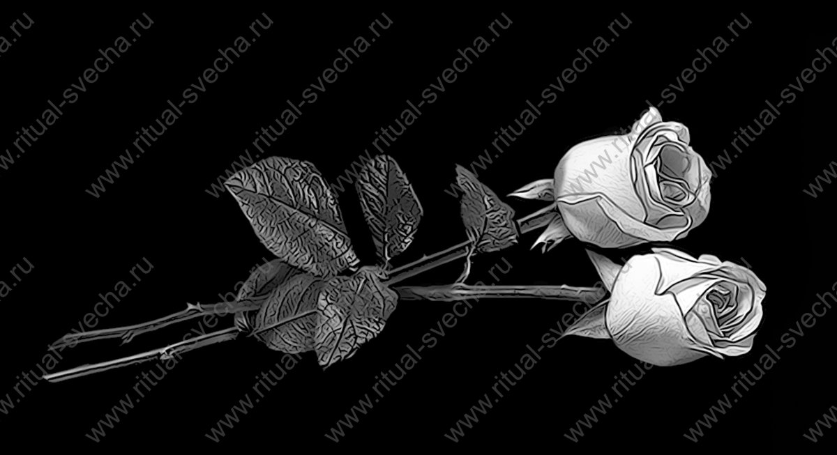 Розы на граните