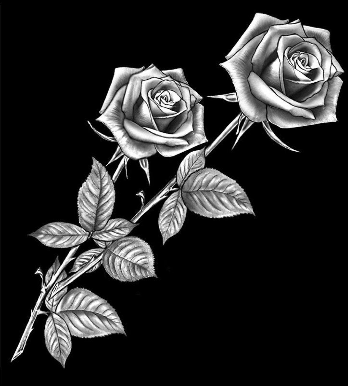 Розы для гравировки