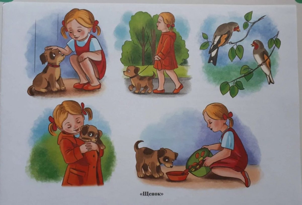 Серия сюжетных картинок