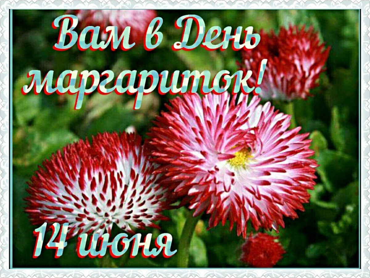 С днем ангела Надежда