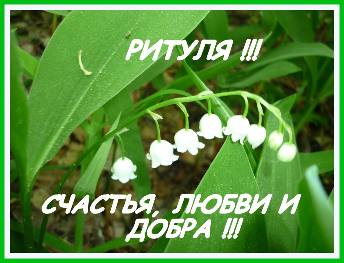 Эвелина с днем рождения открытки