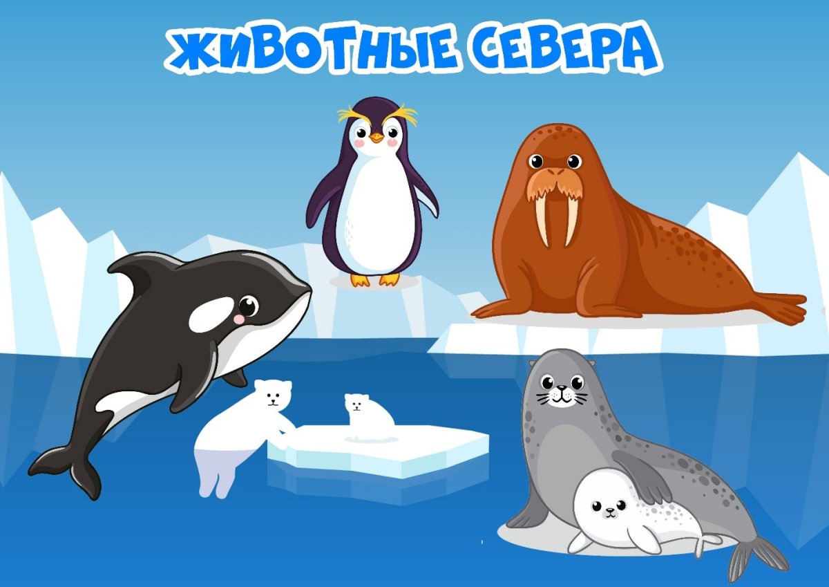 Учим животных севера мультик малышам