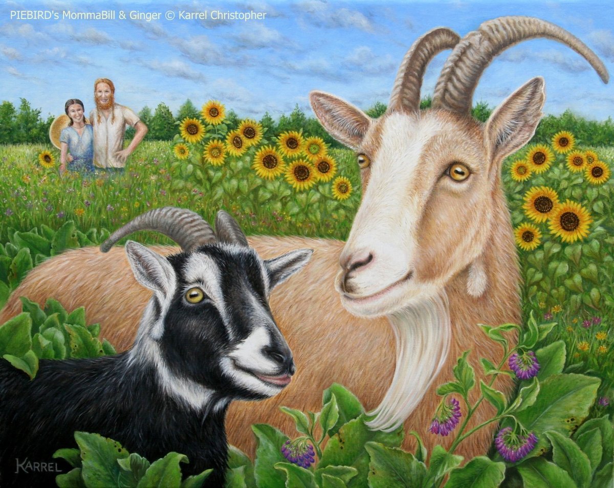 Рисунки в камнях коз