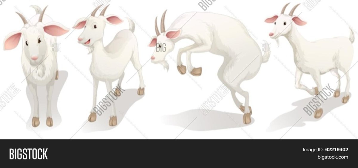 Коза иллюстрация