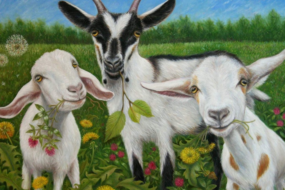 Два козлика