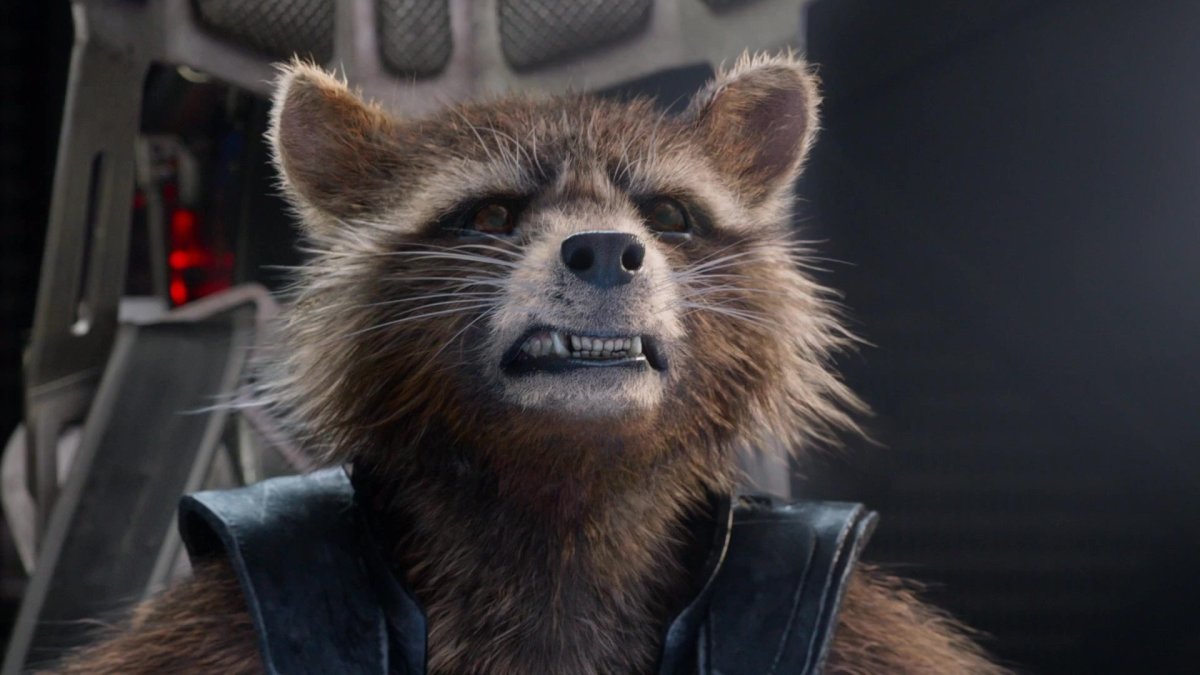 Енот ракета на рабочий стол