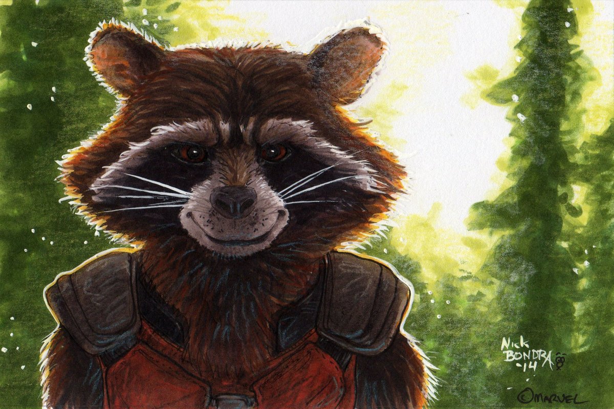 Енот ракета злой