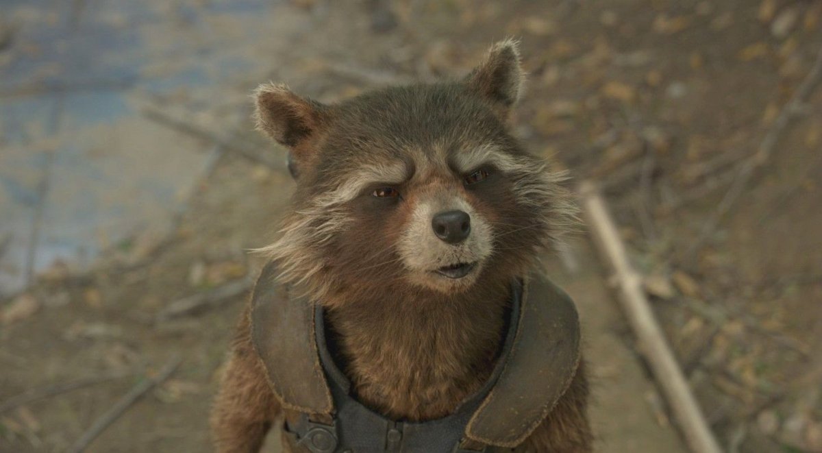 Енот Стражи Галактики