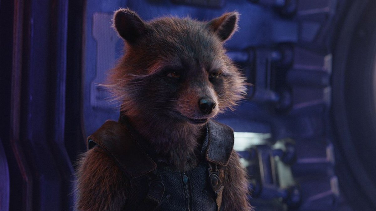 Мстители енот ракета