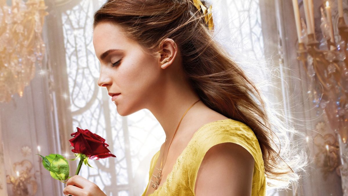 Букет цветов для девушки