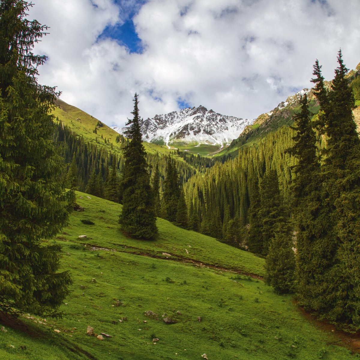 Ущелье Алтын Арашан