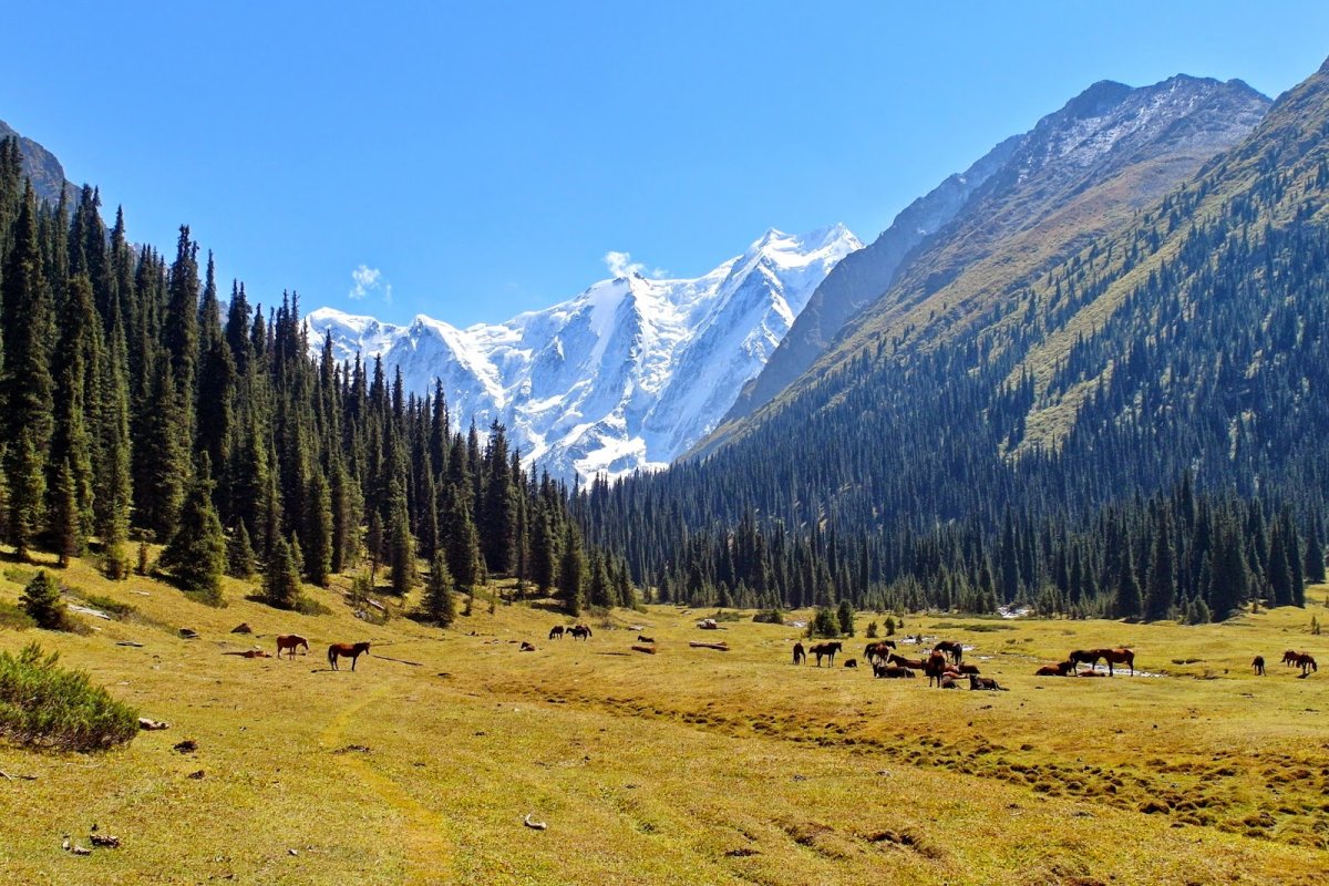 Терскей ала-ТОО Киргизия