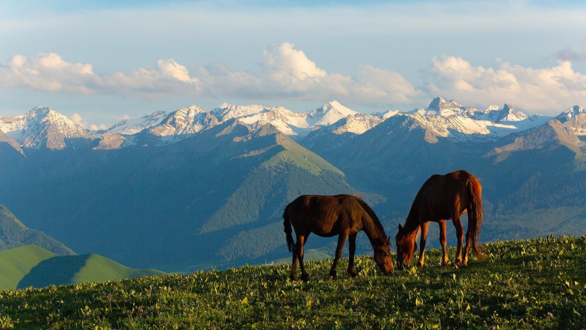 Озеро Сары Челек Кыргызстан