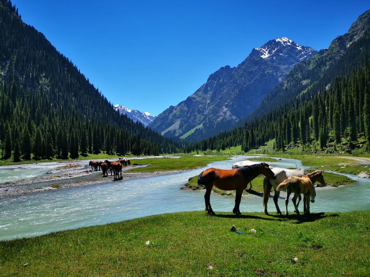 Киргизия горы Тянь-Шань