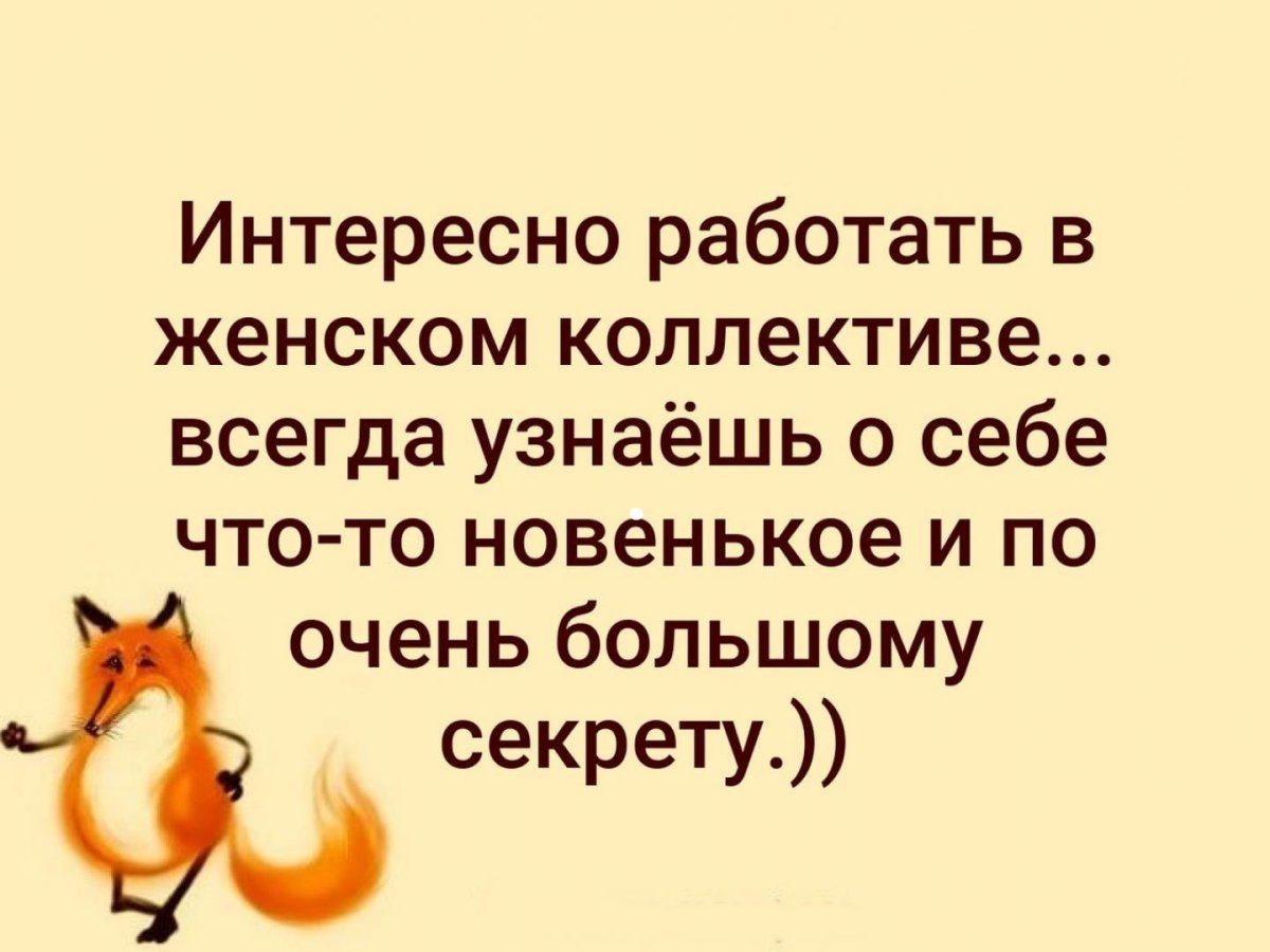 Есть такая категория людей бабы их отличает