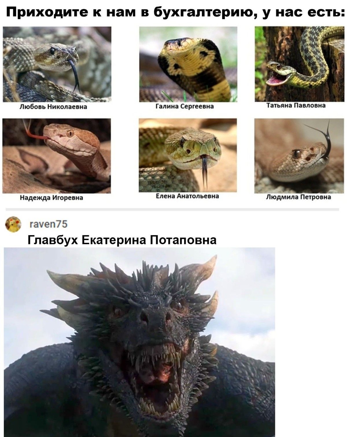 Высказывания о женском коллективе