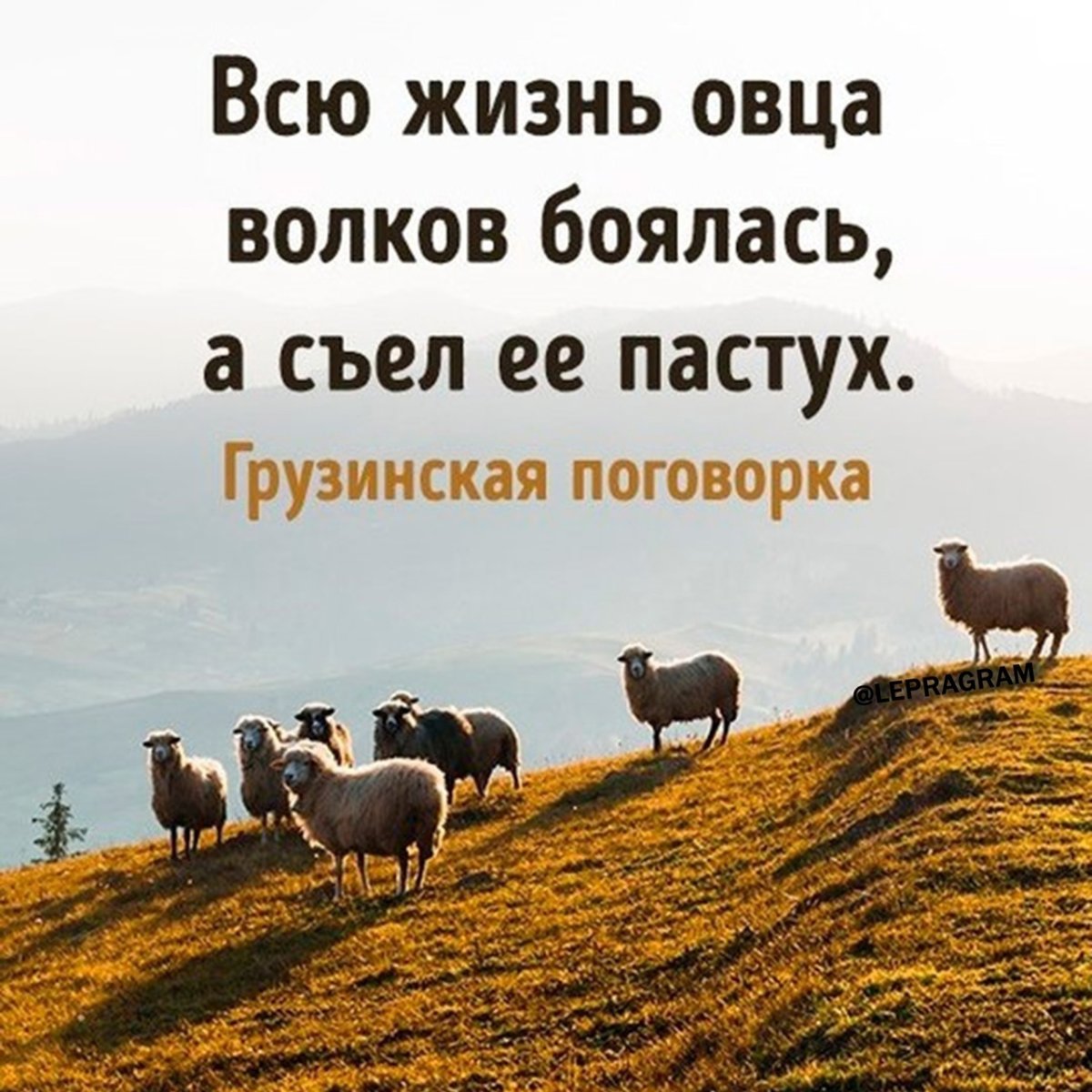 Красивые высказывания о море