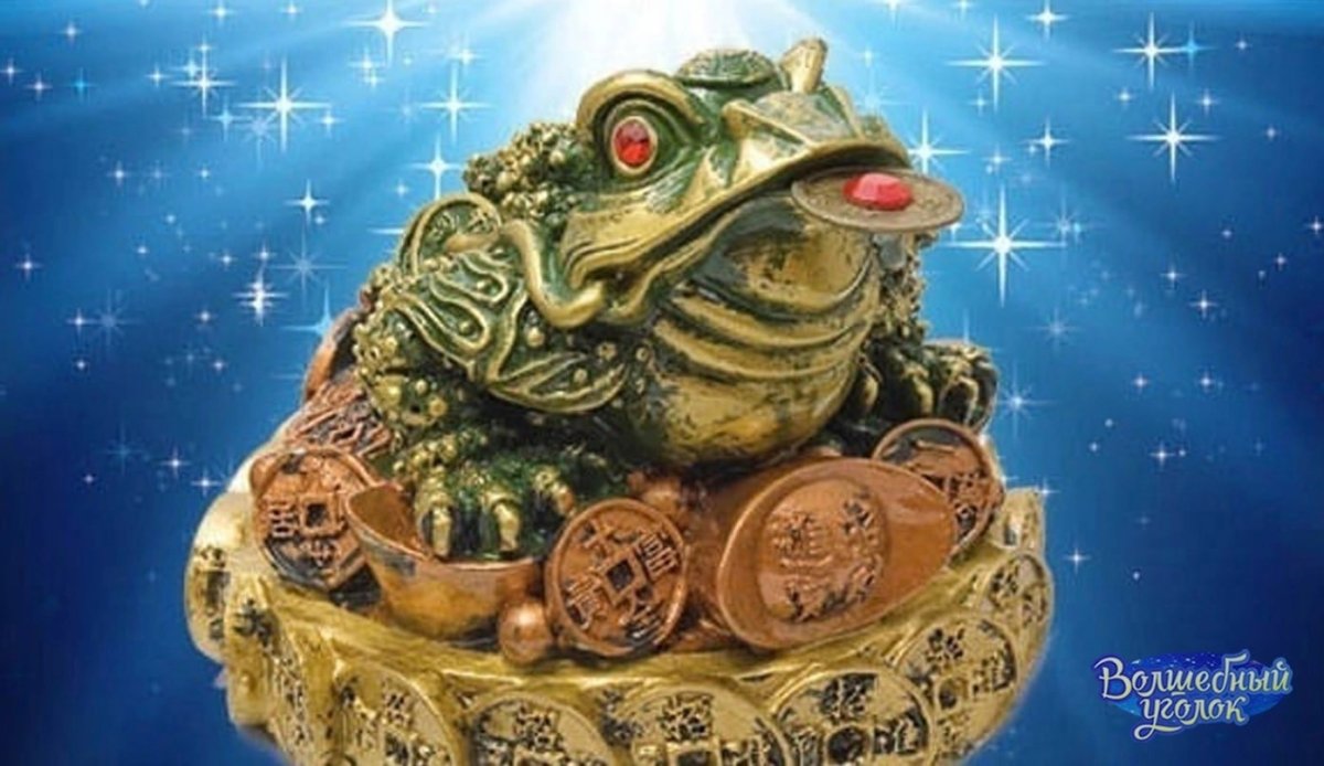 Лягушка с деньгами на рабочий стол