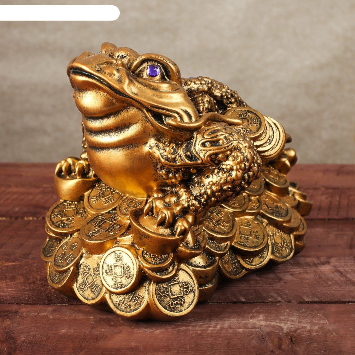 Денежная трехлапая жаба