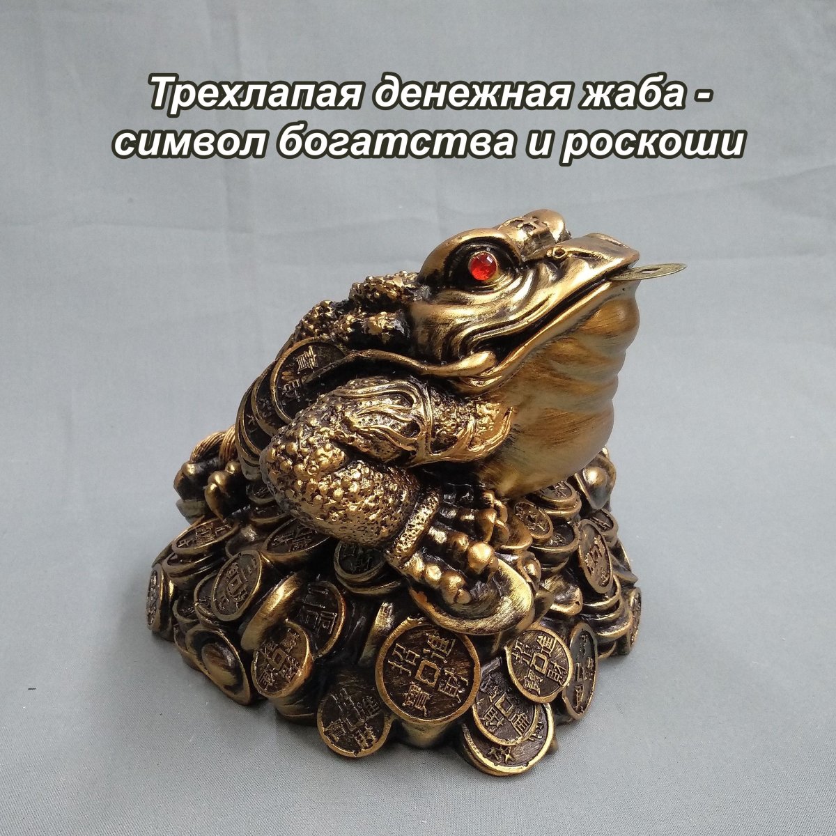 Трехлапая жаба фэн шуй