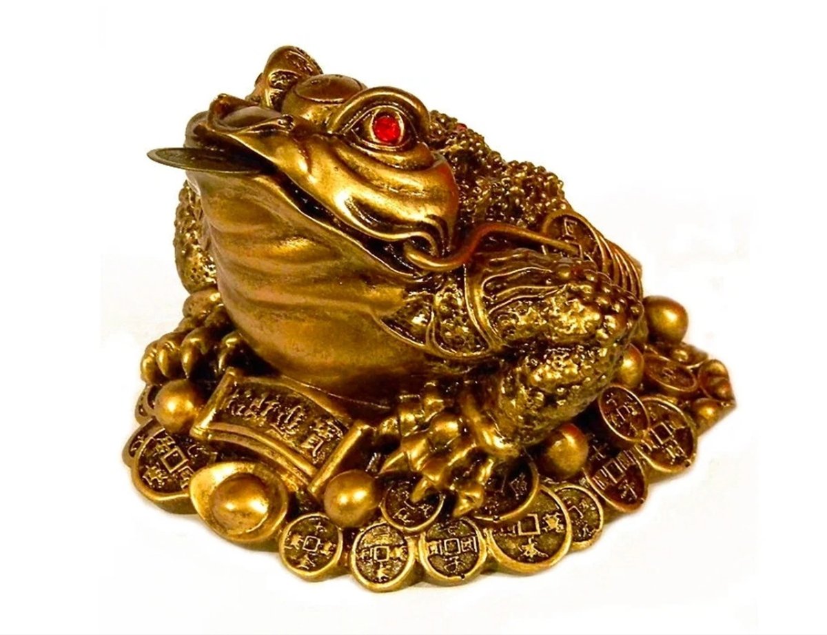 Денежная жаба красивая