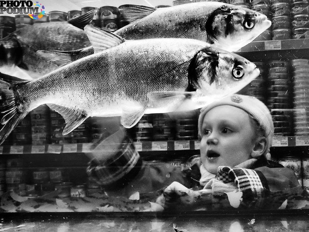 Шапка для рыболовного канала