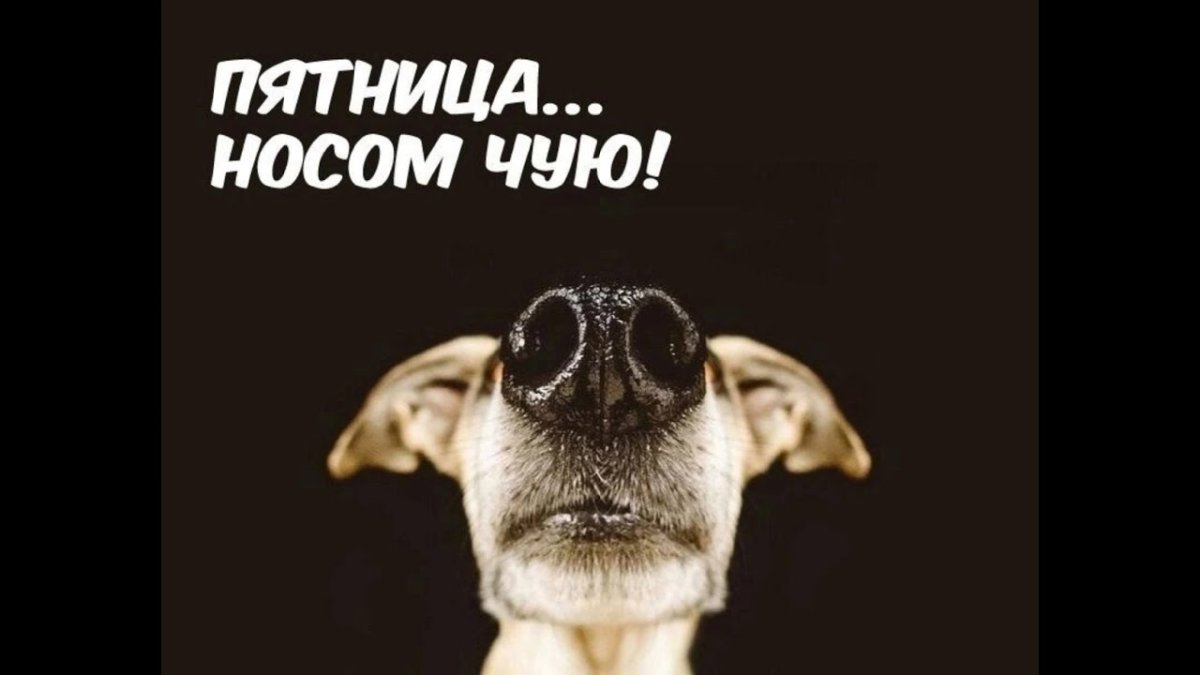 С пятницей картинки