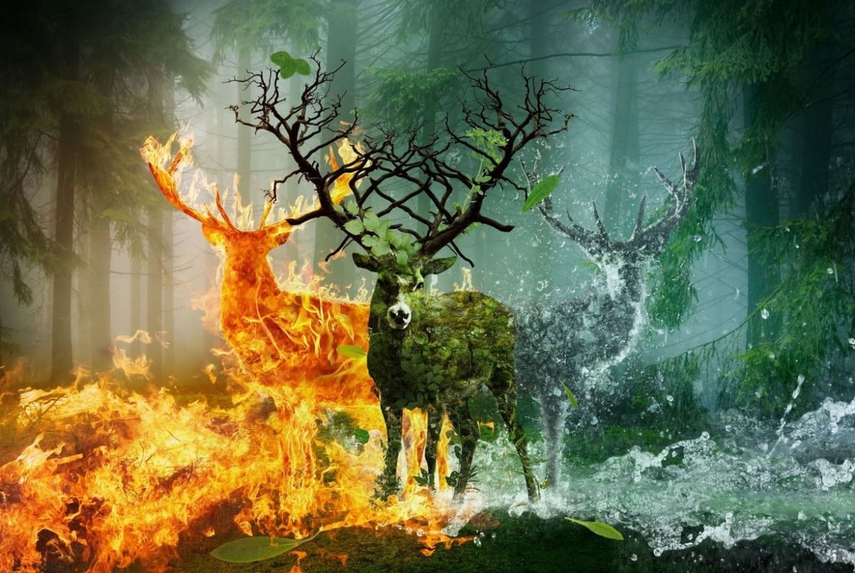 Магия земли